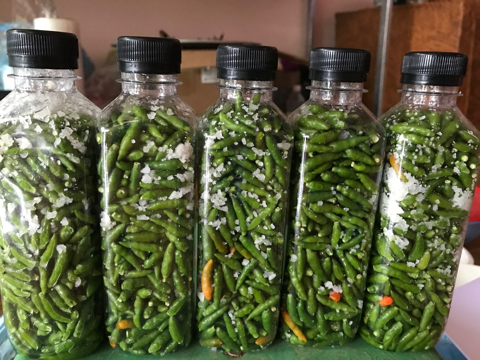 Ớt thóc xanh rừng muối- đặc sản Lai Châu