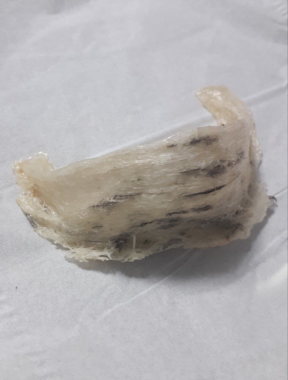 Tổ Yến thô 100g