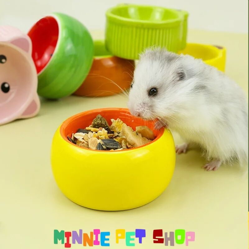 Chén Sứ Đựng Thức Ăn Cho Hamster, Sóc Bông, Sóc Bay Úc, Sóc Đất...