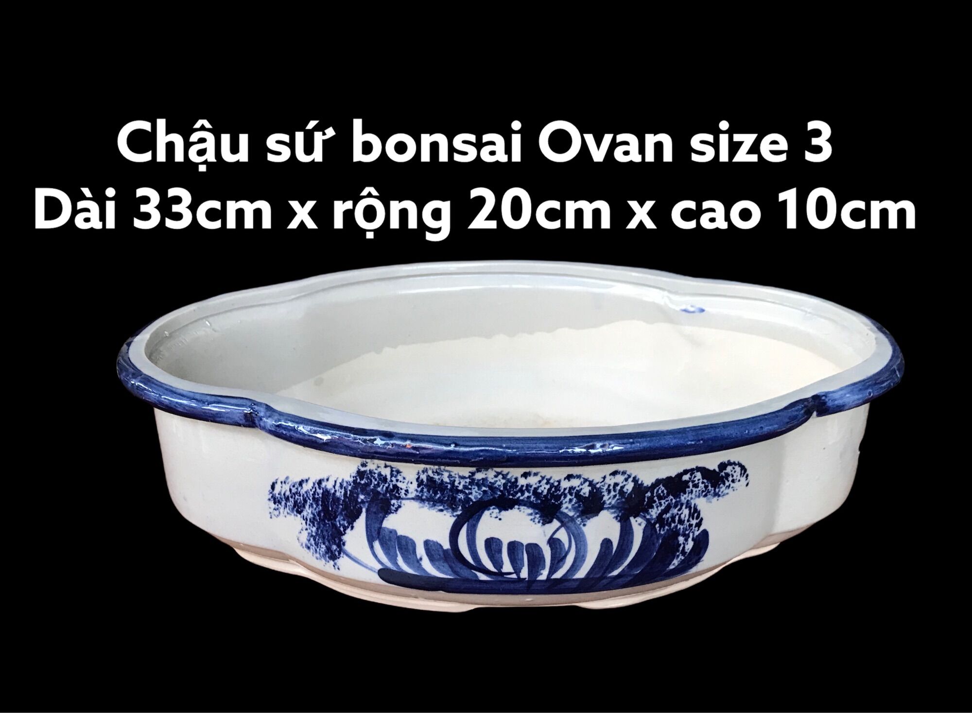 Chậu sứ bonsai hình ovan size 3