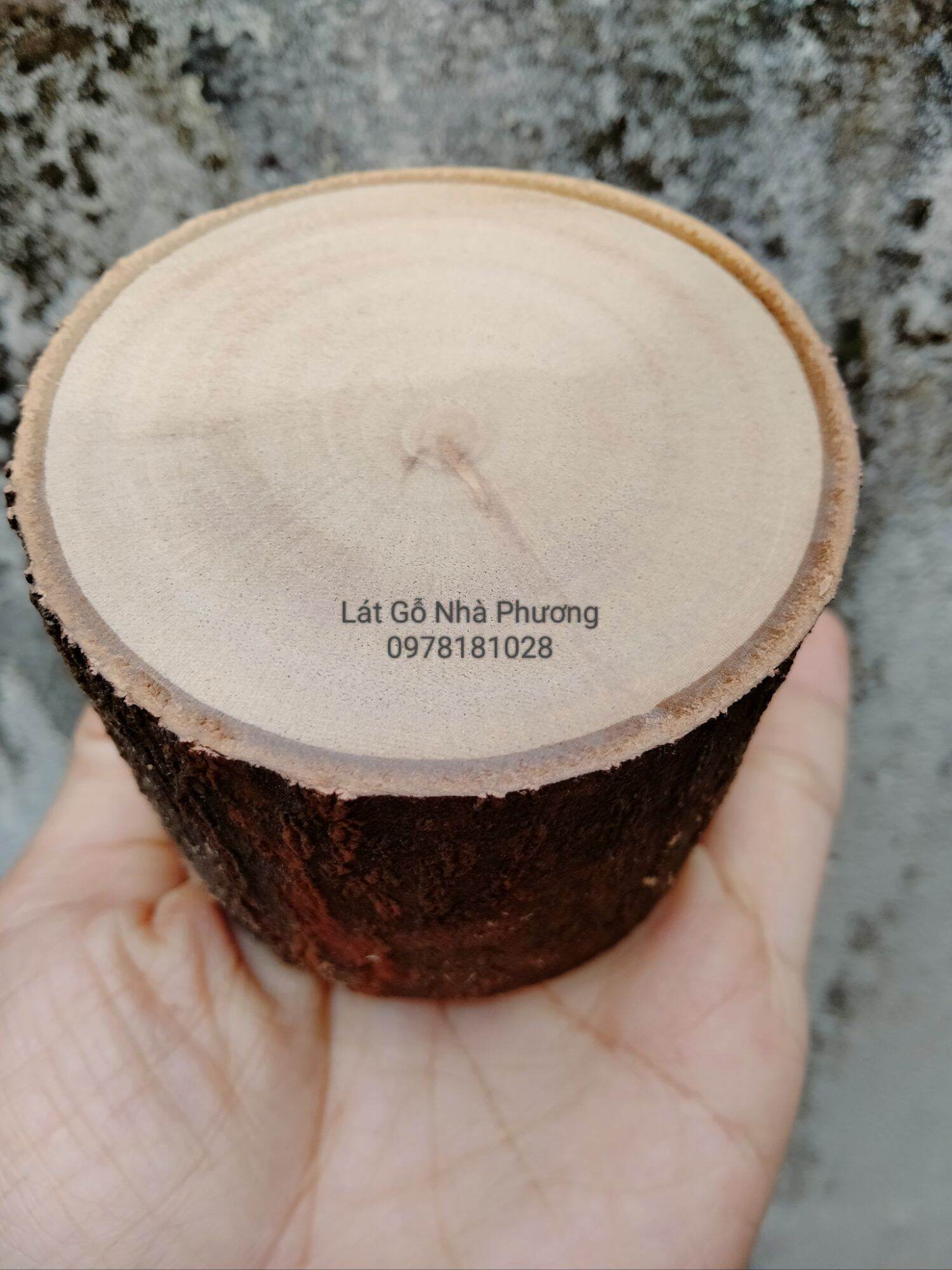 Khúc gỗ tự nhiên cao 5cm, đk 5-6cm