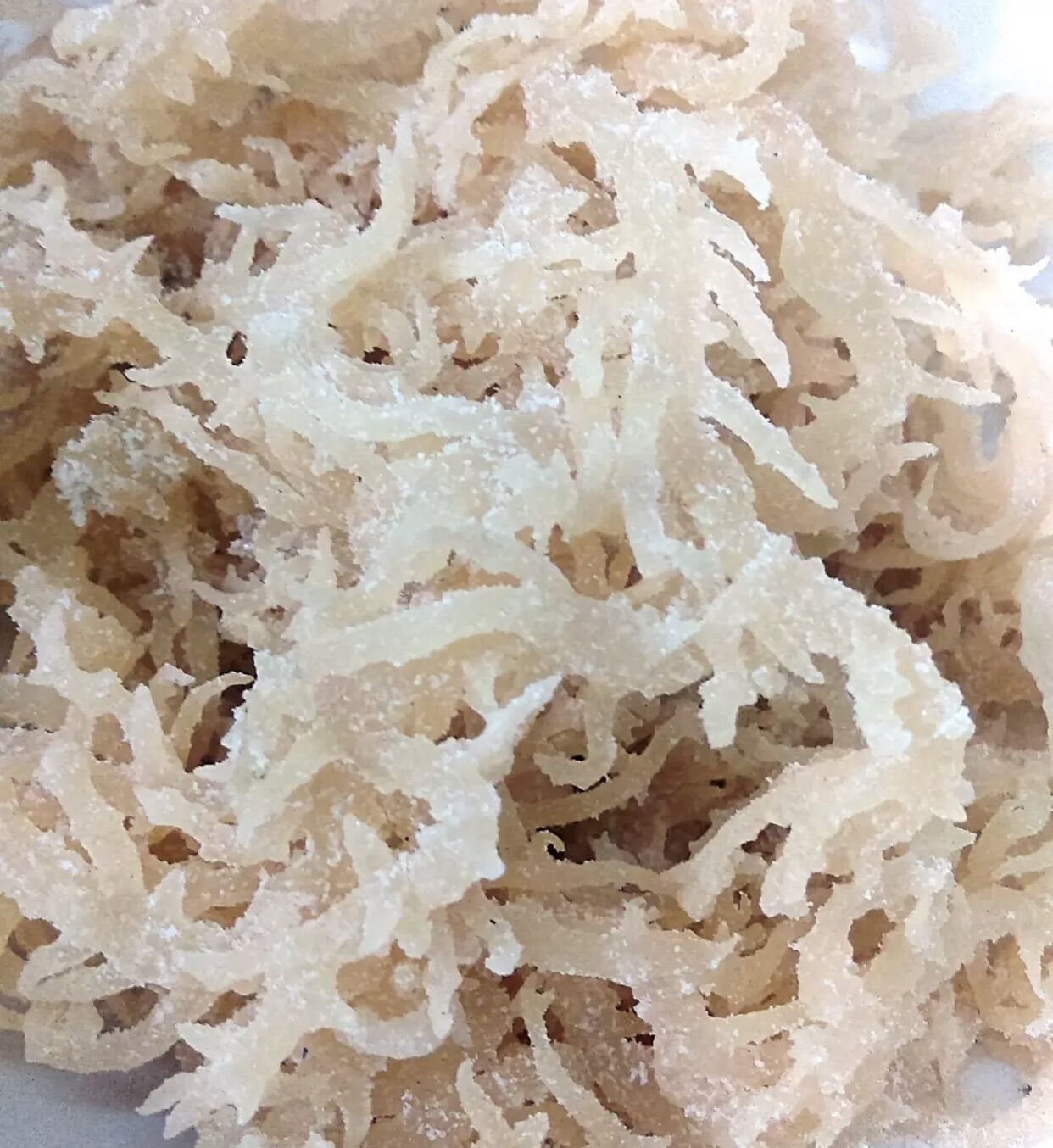 Rong sụn rong biển trắng khô 1kg