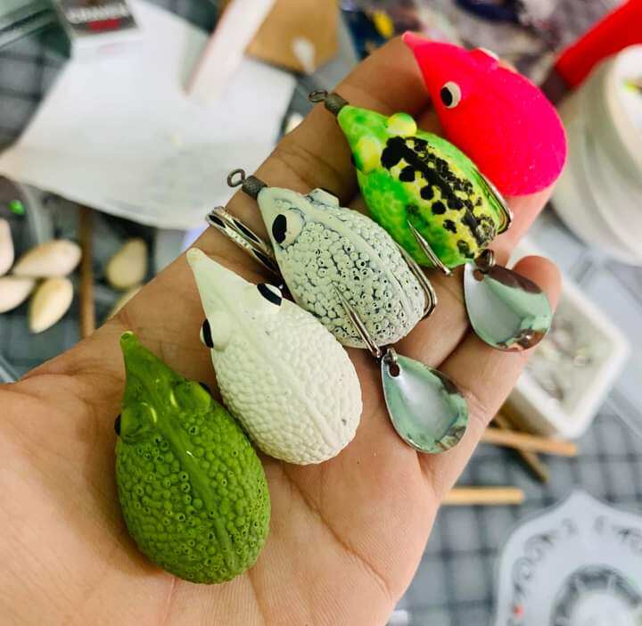 NHÁI HƠI CHUỘT SÓC