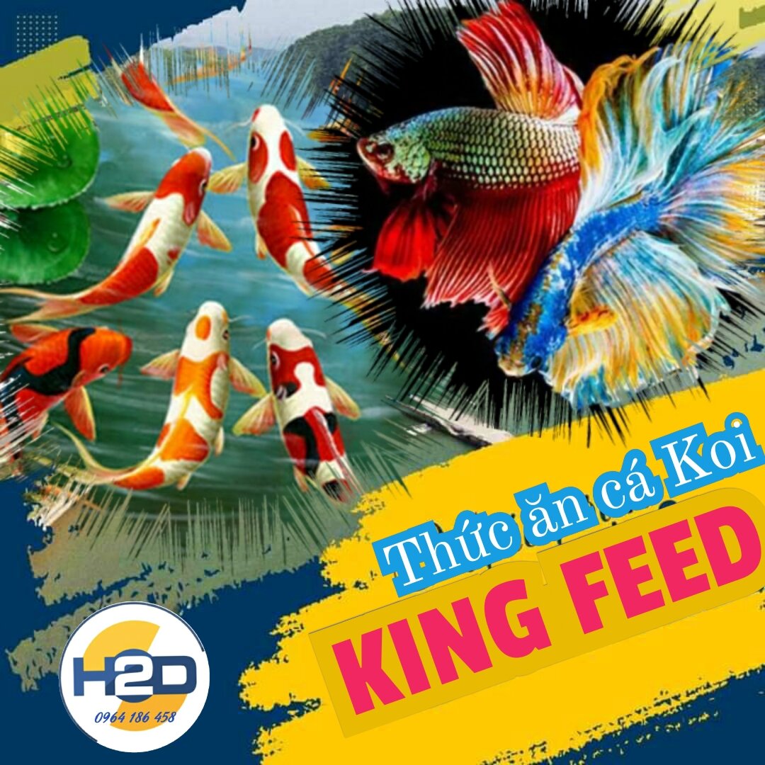 1kg cám cá Koi King feed 42% đạm