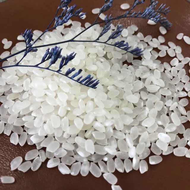 Hạt giống lúa Nhật Japonica túi 1kg