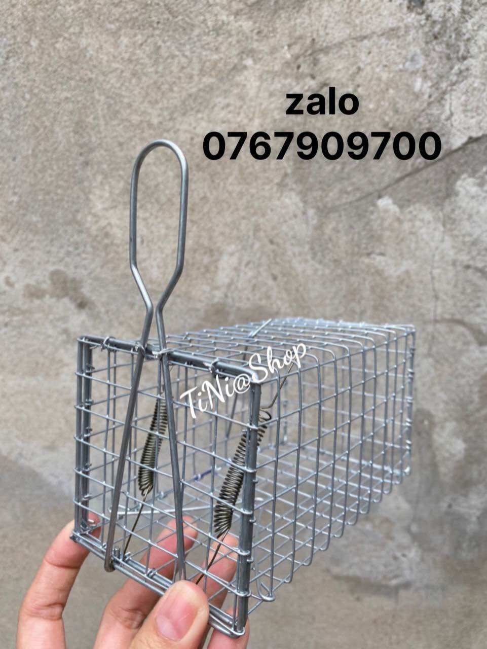 Combo 10 Bẫy Chuột Đồng 8x8x15cm