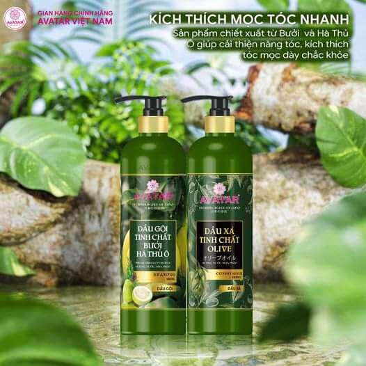 Combo gội xả Avatar bưởi hà thụ ô