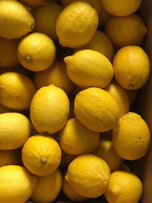 Chanh Vàng Mỹ nhập khẩu - 500g