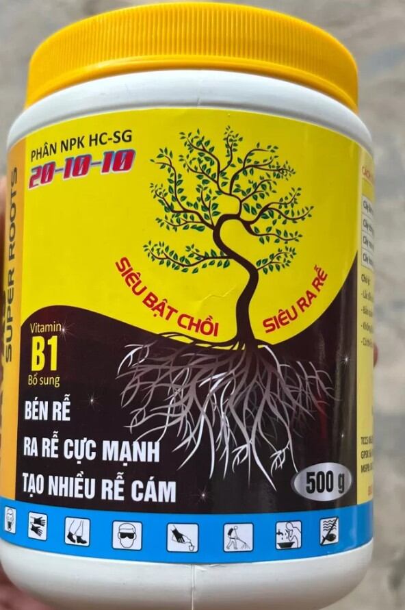 Phân bón b1 Kích rễ bung chồi mai vàng giúp cây bén rễ ra nhiều rễ cám