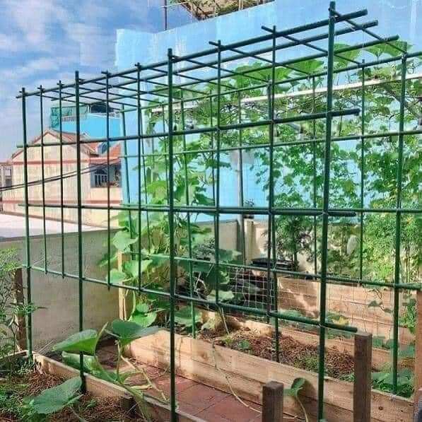 10 cọc chống cây làm giàn 1m8 phi 11