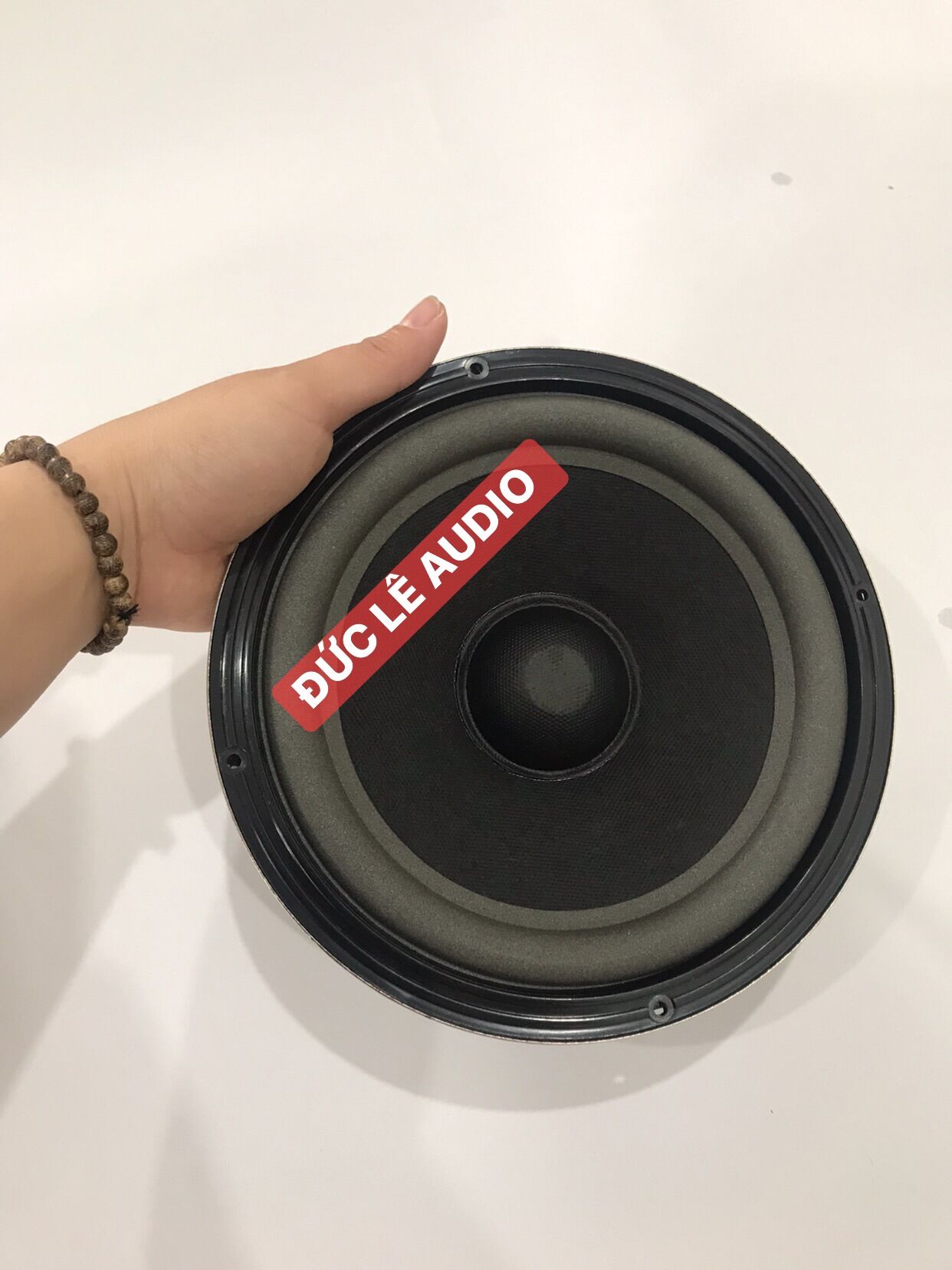 LOA BASS 20 BOSE - GIÁ 1 CHIẾC