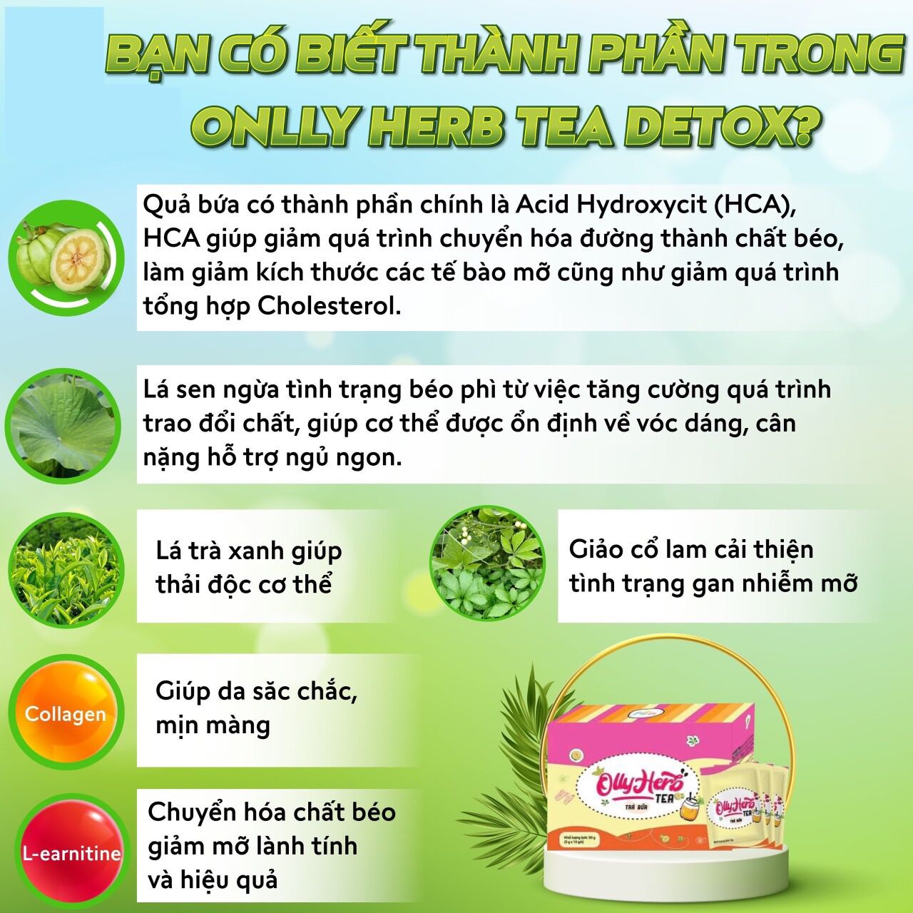 COMBO 10 HỘP BÍ ĐAO DETOX [ FREESHIP + QUÀ ]