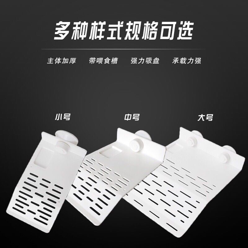 Máng leo dành cho rùa nước Size S