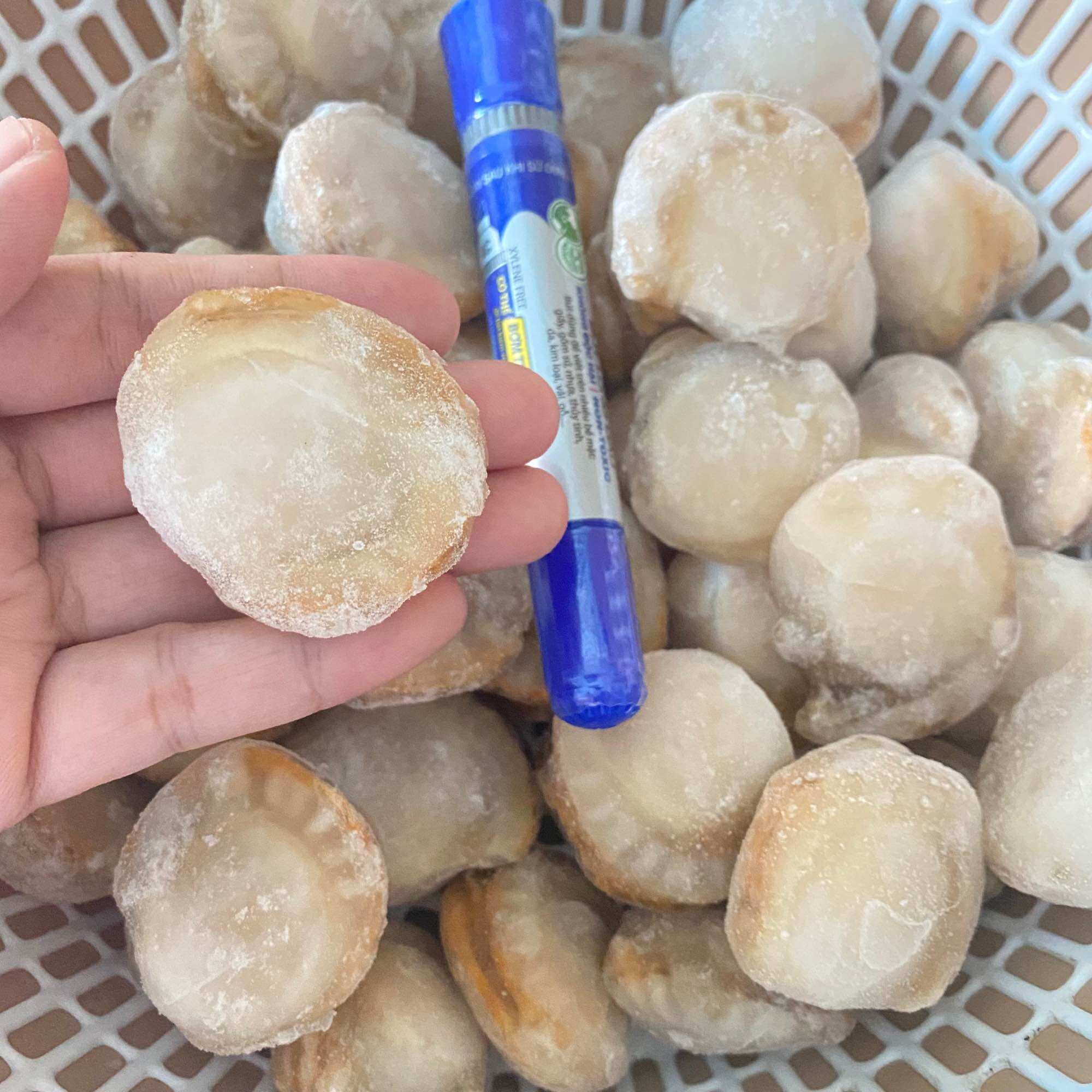 CỒI SÒ ĐIỆP NHẬT HẤP SIZE 40-60 CON/KG