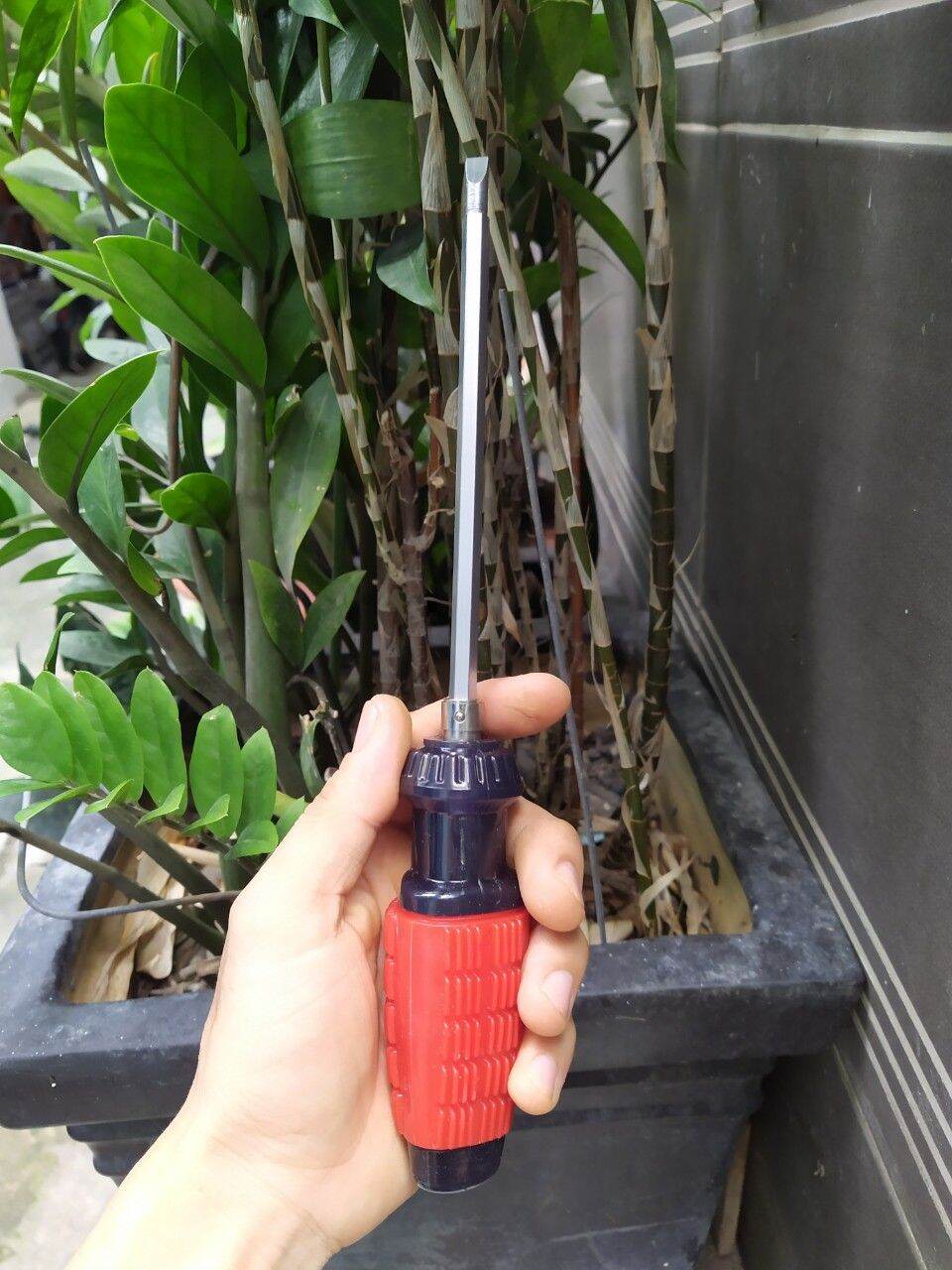 Tô vít 2 đầu 6mm