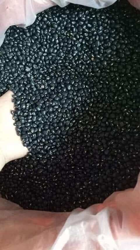 đỗ (đậu) đen xanh lòng 1kg