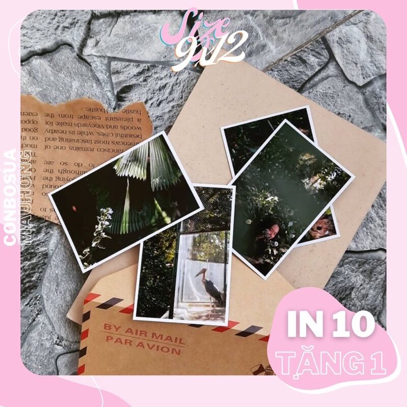 In ảnh 9x12 có ép plastic theo yêu cầu