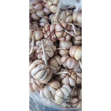 500g tỏi củ to dễ lột