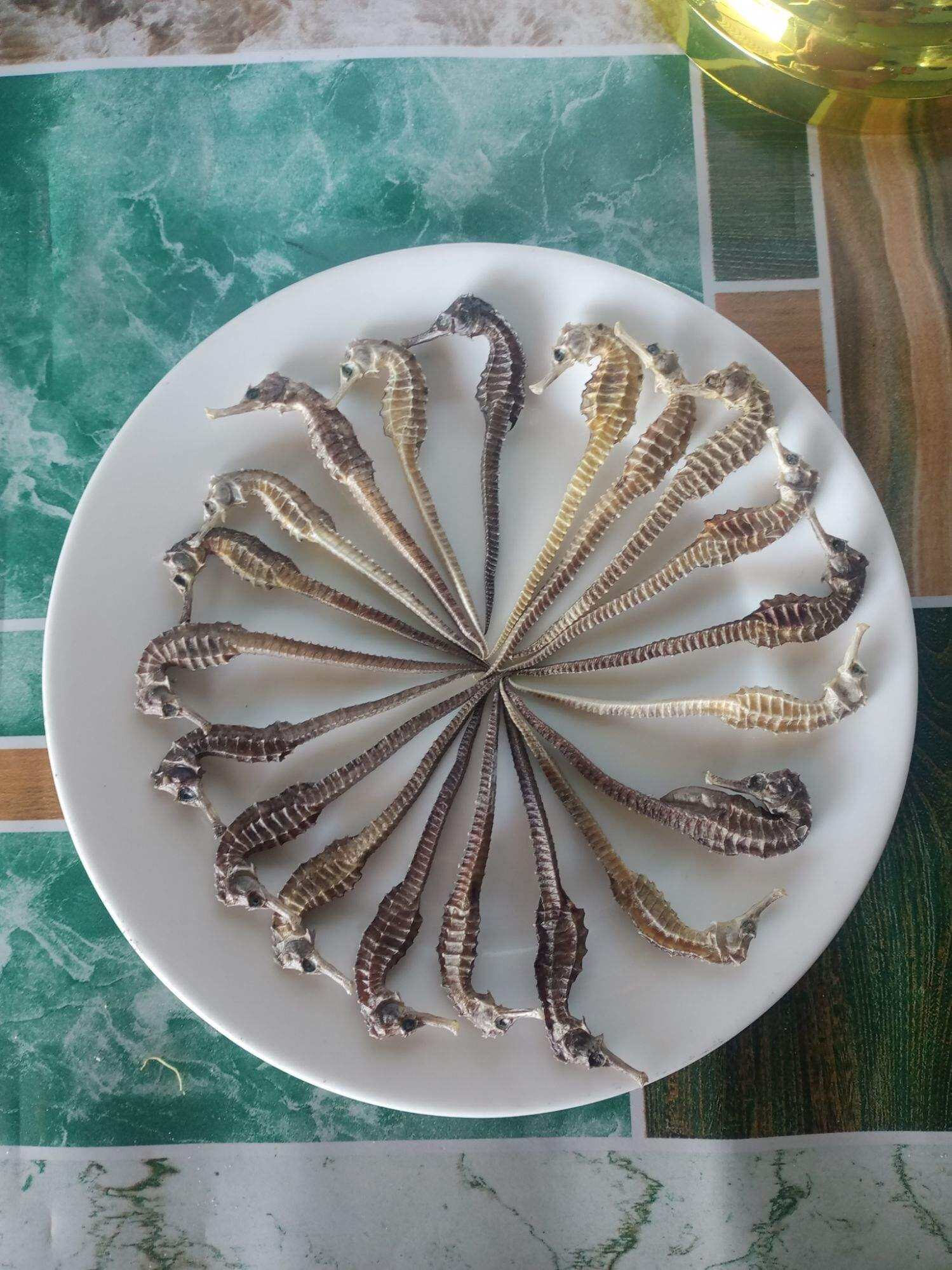 10 con cá ngựa khô 8cm(tặng 5 con hải yến)