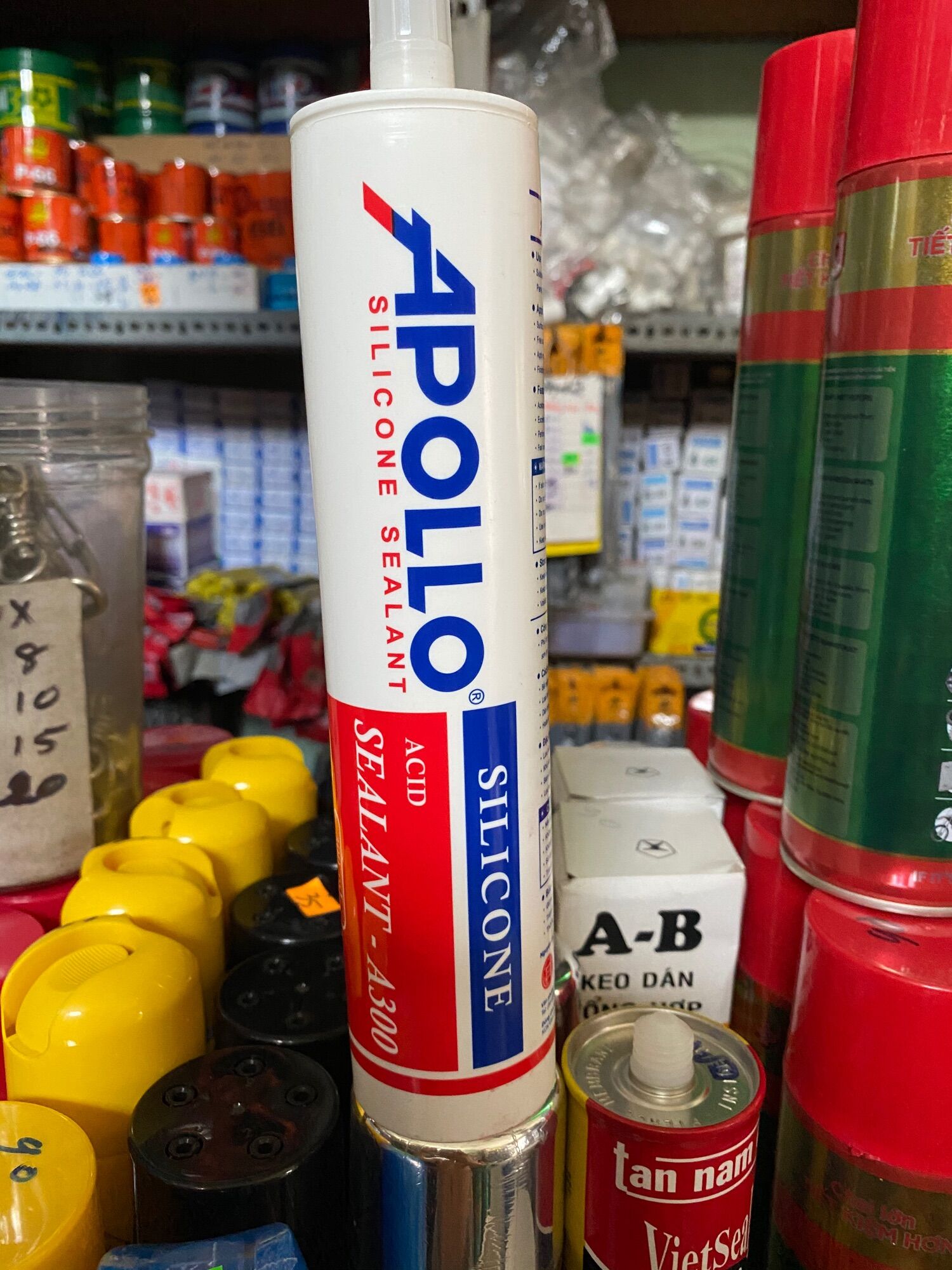 Silicon Apollo