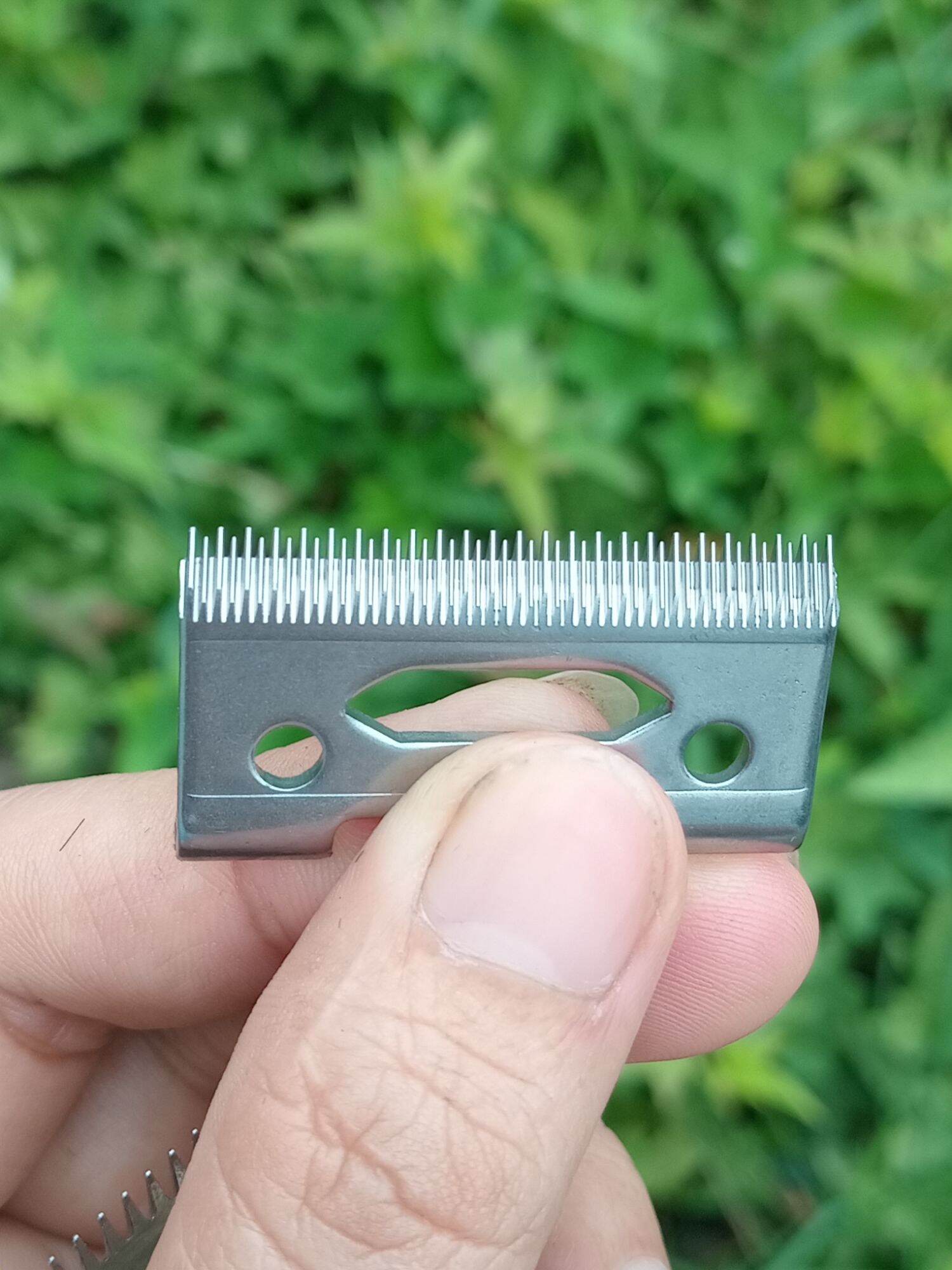 lưỡi kép đã mài chuốt