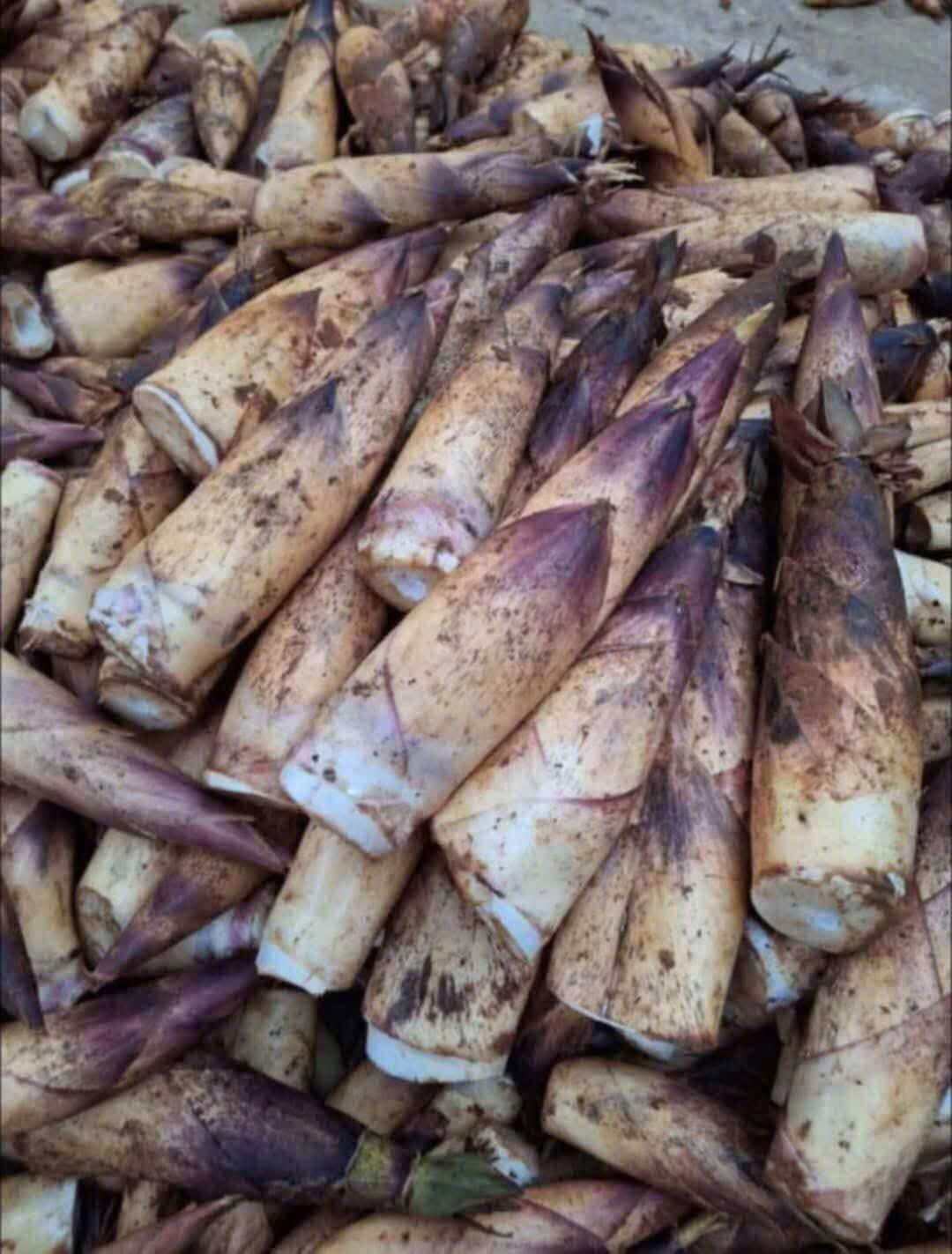 Măng vầu tây băc ngọt thơm 2kg