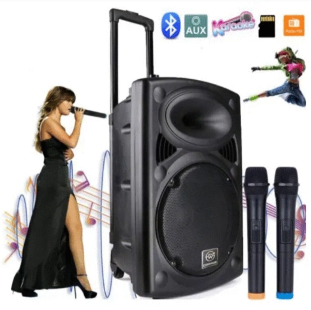loa kéo karaoke bass 30+3 mic