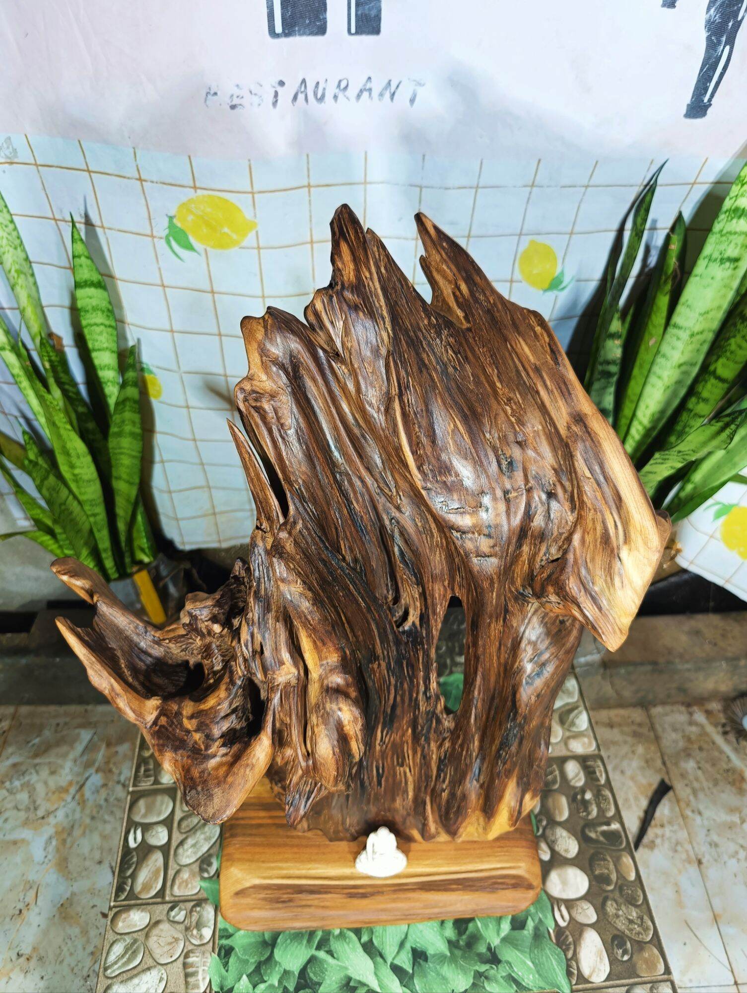 lũa gỗ thơm ngọc am đỏ hà giang