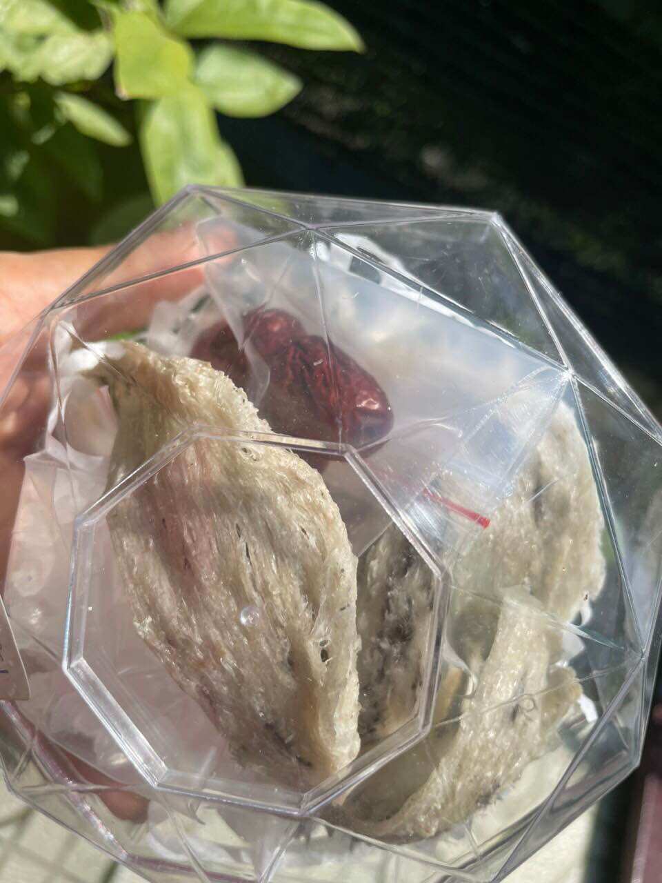 Tổ Yến thô nguyên chất
