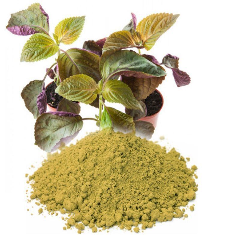 500g bột tía tô  đắp mặt giảm nám/ mụn