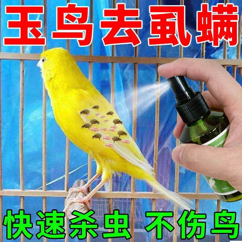 Diệt bọ ve, bọ ve, bọ ve chim, bọ ve, thực vật ký sinh, chiết xuất tự nhiên, điều trị phun sương, rụng lông