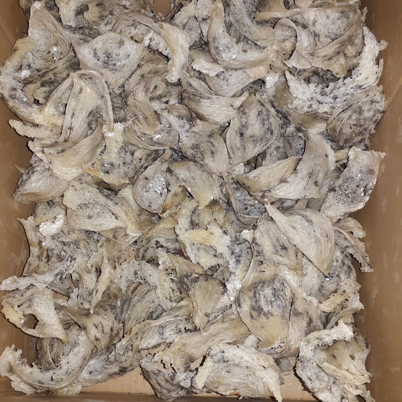 Tổ Yến thô 100g