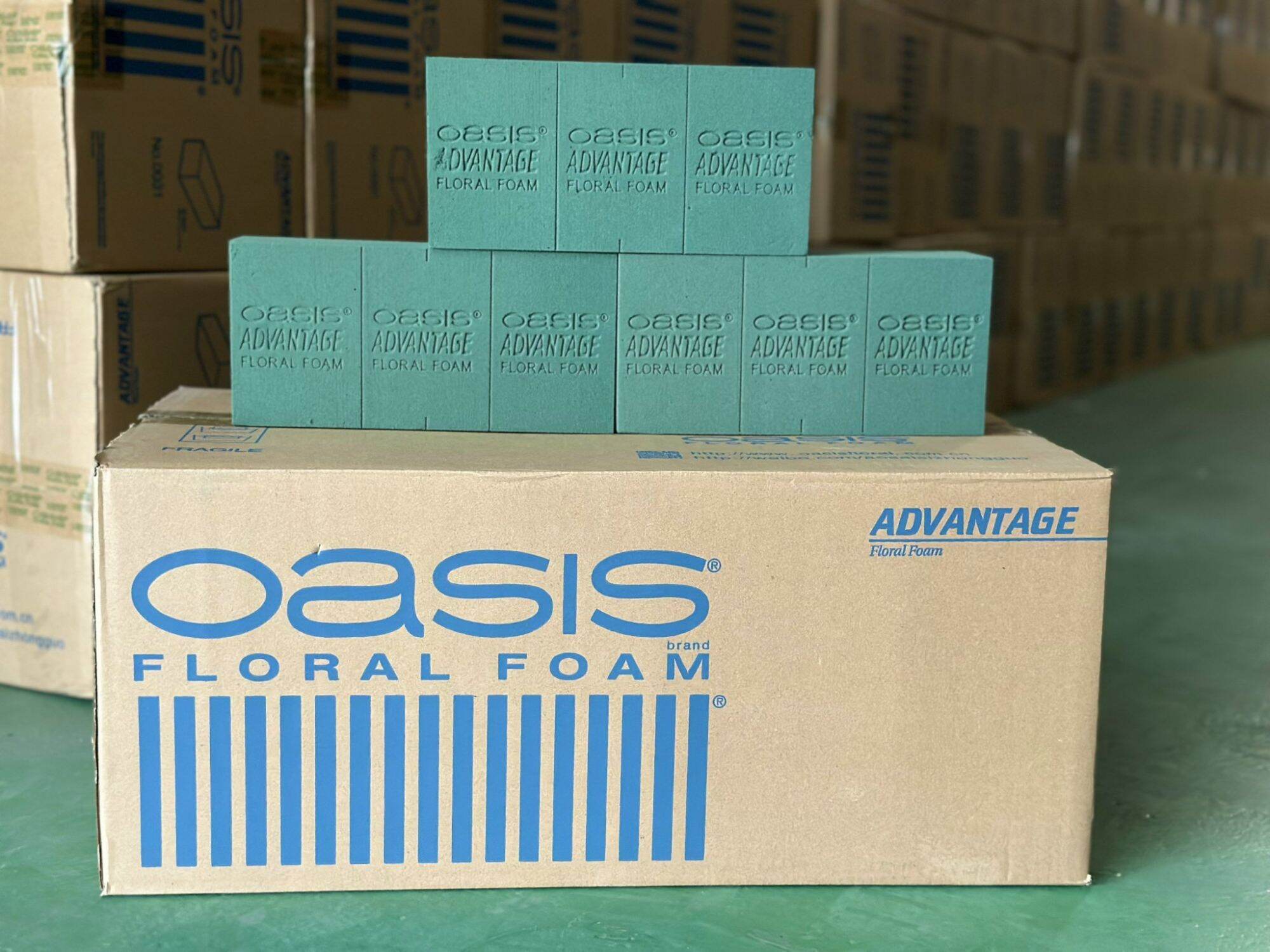 [ xốp oasia cắm hoa tươi, hoa sáp, hoa khô