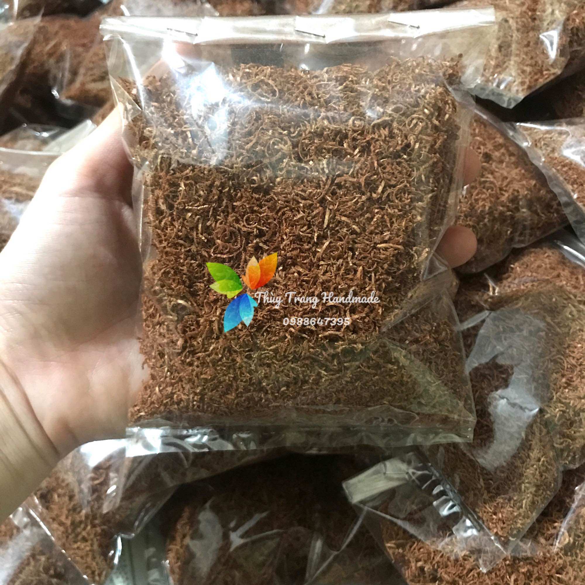 Rêu bột và rêu sợi phủ thân, gốc cây