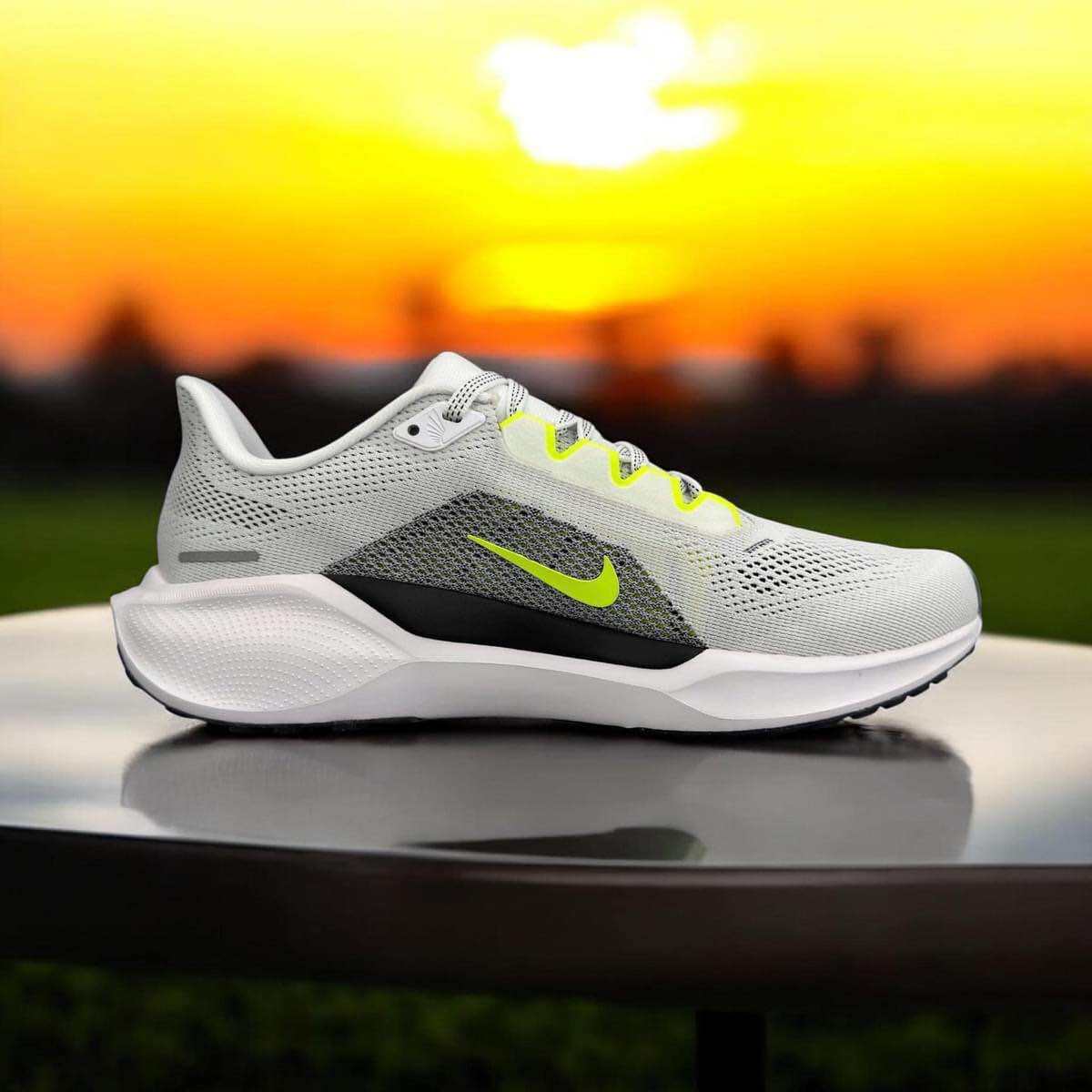 Giày Chạy bộ Nike pagesus 41. 
