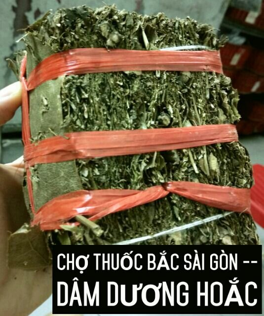 100g lá dâm dương hoắc xếp lá