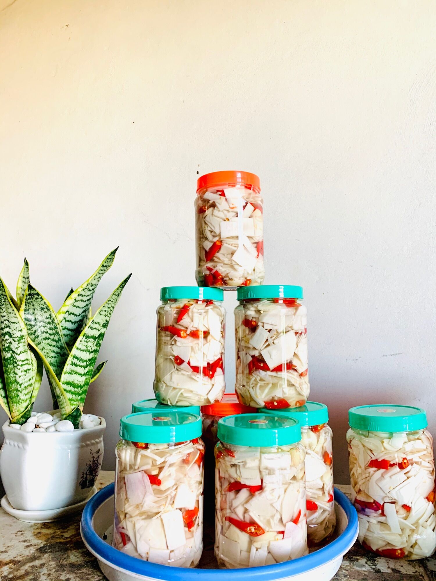 Măng tre ngâm mắc mật 50k/1kg