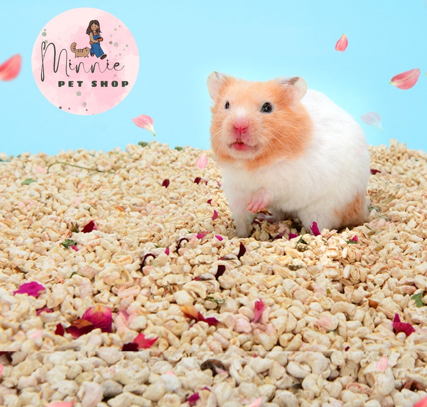 Cùi Bắp Lót Chuồng Cho Bò Sát, Hamster, Sóc Bông, Sóc Bay Úc, Sóc Đất, Thỏ, Bọ...