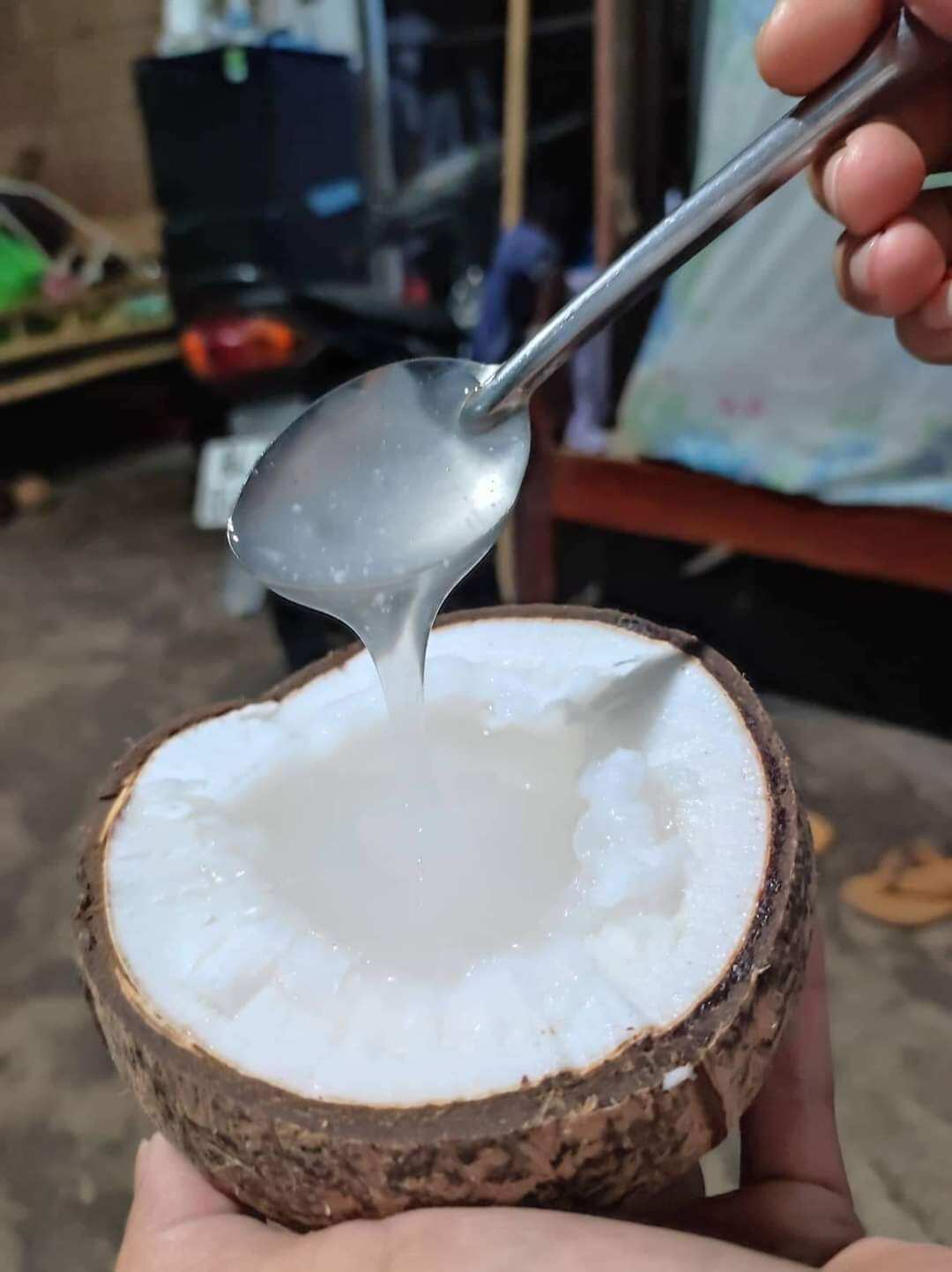 Dừa Sáp Đặc Biệt Trái 1.3kg