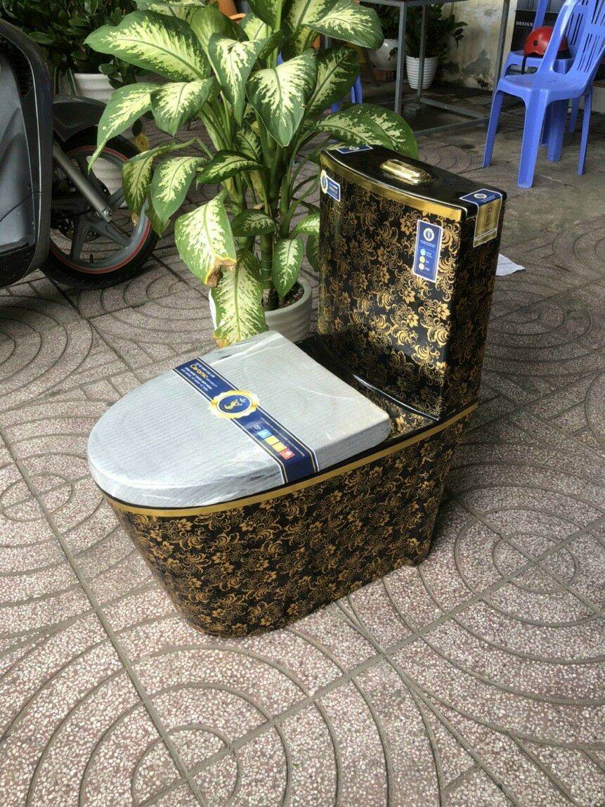 Bồn cầu nguyên khối cao cấp họa tiết hoa văn vàng. Giá gốc 9300000đ