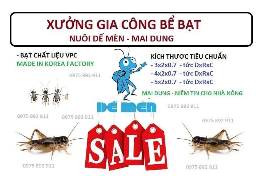 Thùng bạt nuôi dế mèn, bể bạt nuôi côn trùng