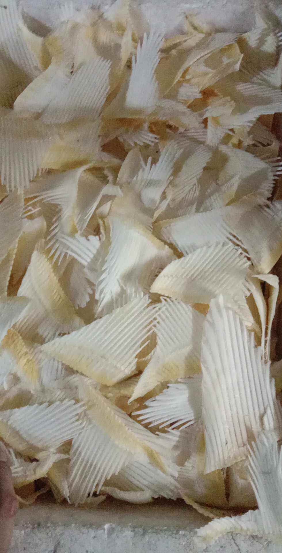 Sụn vi cá 100g
