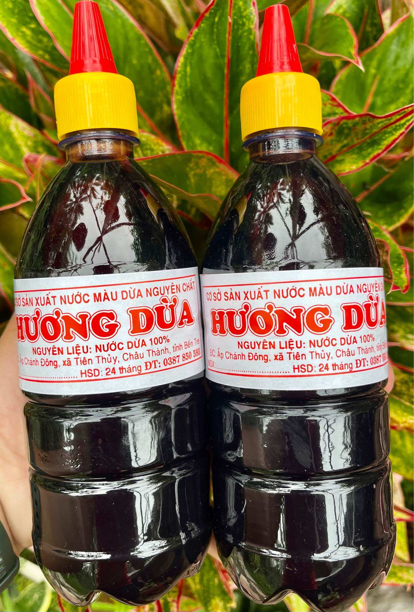 Nước Màu Dừa Nguyên Chất Organic Rất Sánh Mịn. Thơm Đậm Vị Nước Dừa Tươi 1000ml