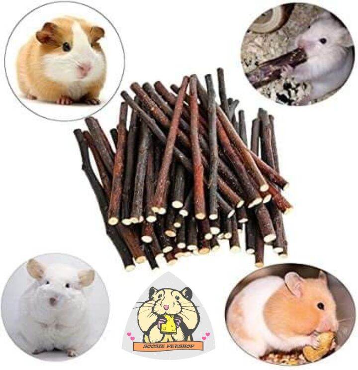 Cành táo mài răng hamster, thỏ, bọ, vẹt,...