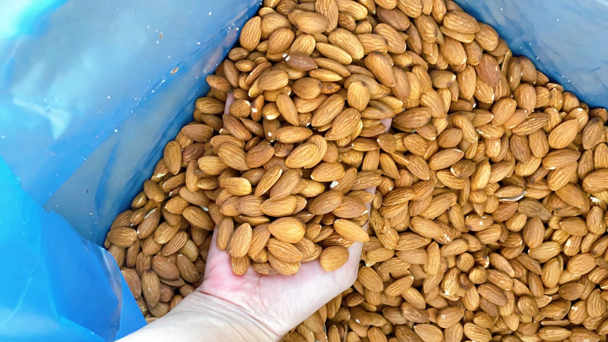500G Hạt hạnh nhân Mỹ đã sấy chín