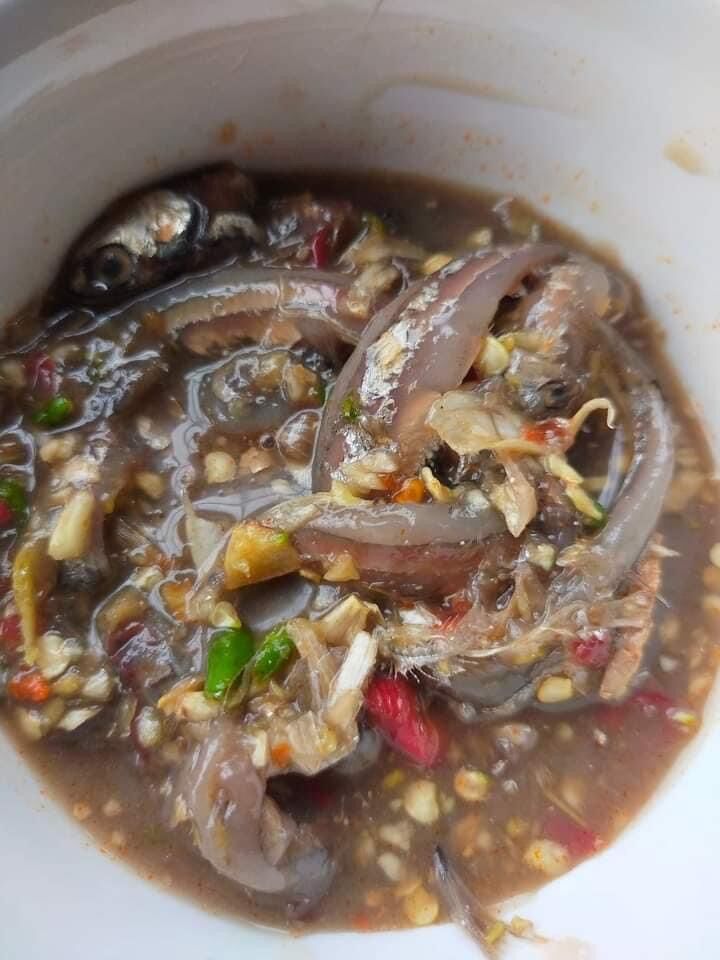 Combo 5 chai Mắm cá cơm Đặc Sản Cam Ranh Khánh Hòa