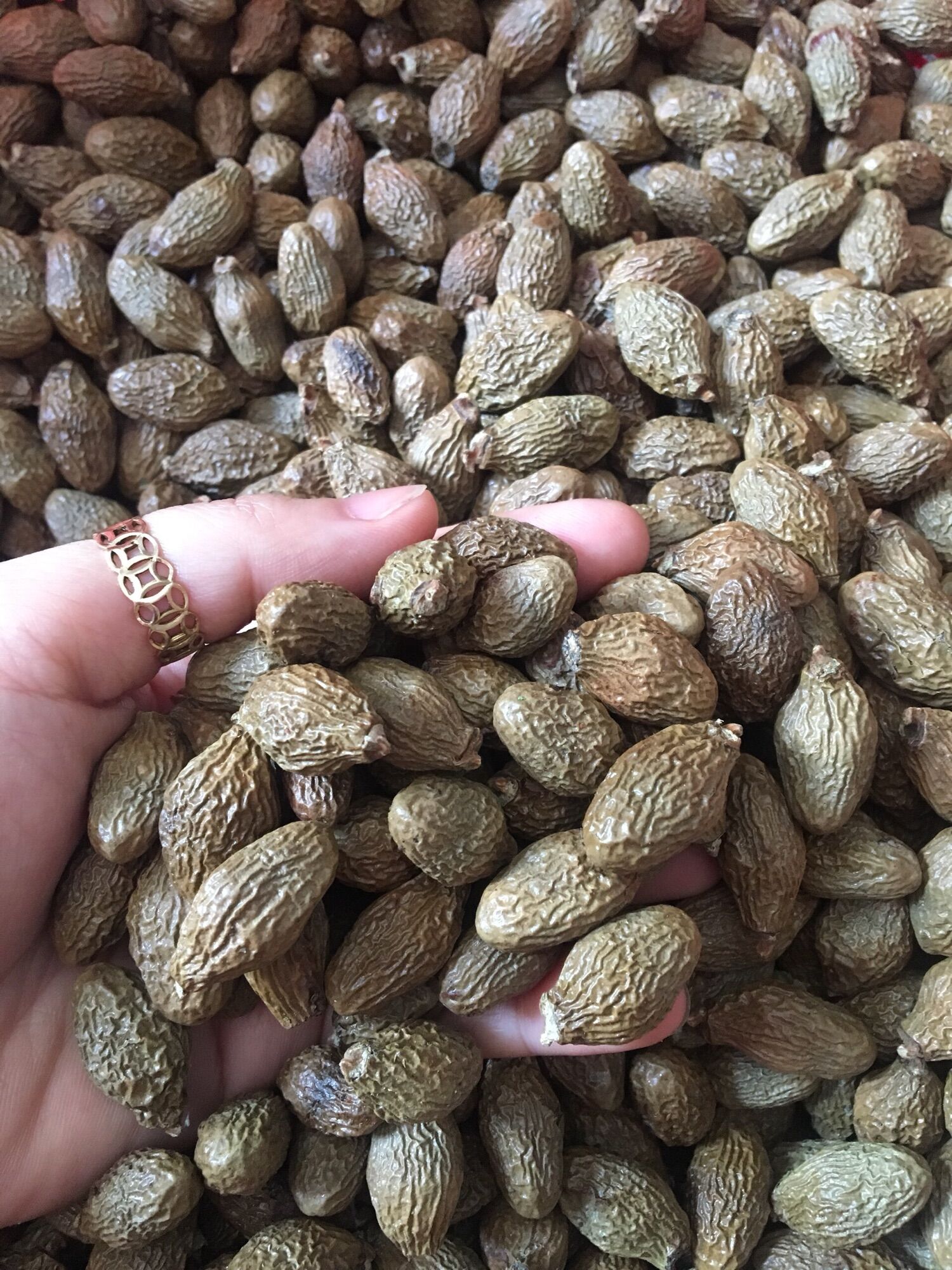 Hạt đười ươi khô 500gr