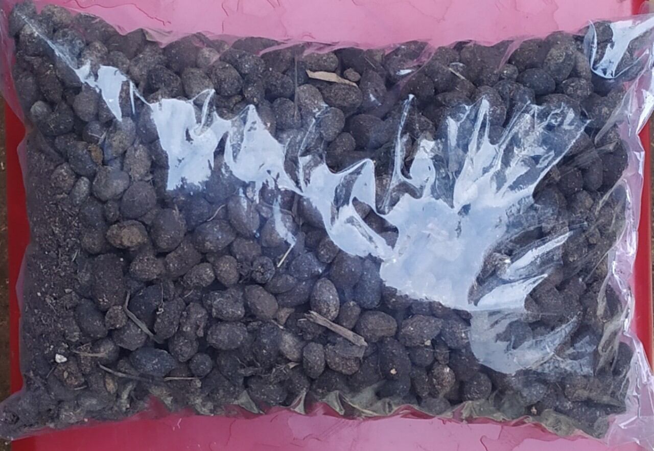 COMPO 2 gói PHÂN DÊ đã qua xử lý túi 1kg