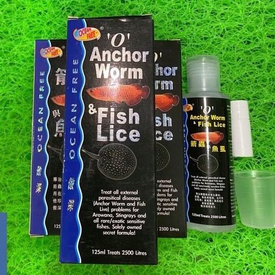 Chai số 0 cho cá rồng/cá koi