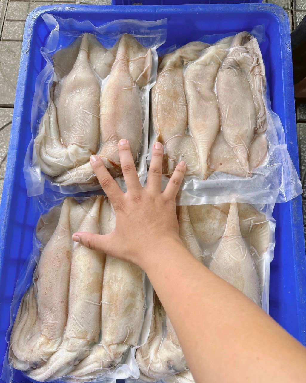 Mực ống Indo - khay 1kg net 7 (giao tphcm)
